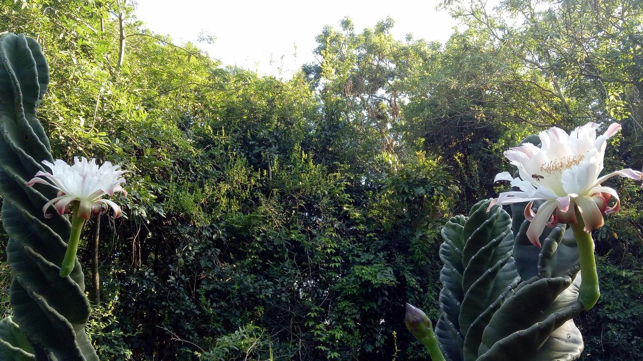 Posada Camboata อาริสโตบูโล เดล บาเญ ภายนอก รูปภาพ